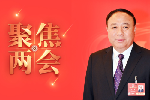 全國人大代表李寅2025年建議之四--盡快解決農(nóng)林生物質(zhì)發(fā)電可再生能源電價附加補(bǔ)助拖欠問題，化解行業(yè)經(jīng)營風(fēng)險的建議